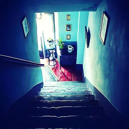 Гостевой дом Casa Ghjunca