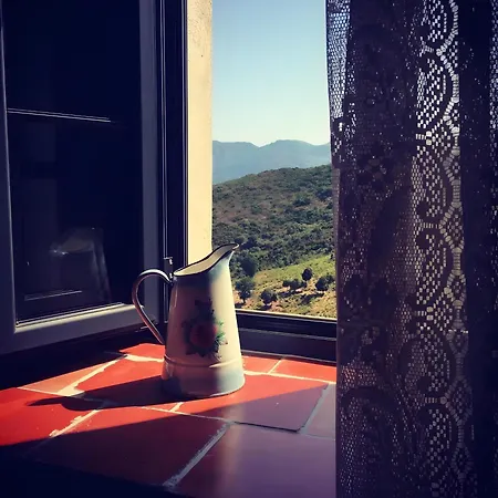 Guest house Casa Ghjunca 3*