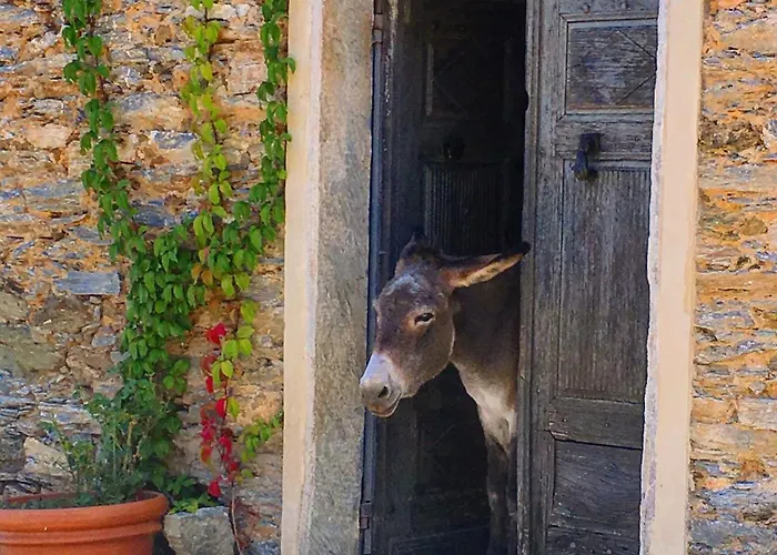 Maison d'hôtes Casa Ghjunca Rapale