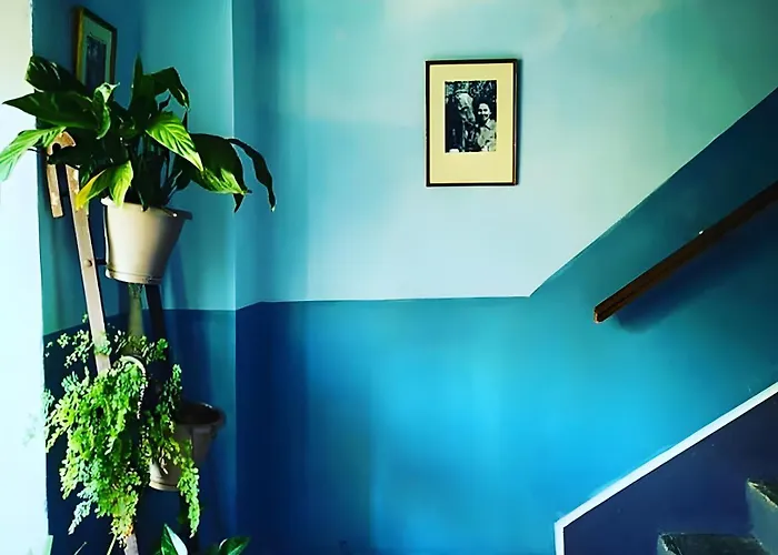 ゲストハウス Casa Ghjunca